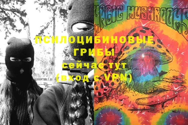 ПСИЛОЦИБИНОВЫЕ ГРИБЫ Абаза