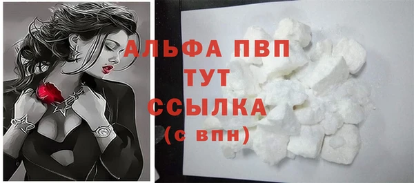 индика Слюдянка