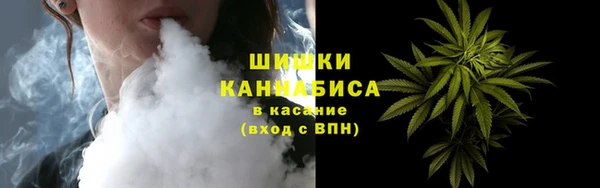 ПСИЛОЦИБИНОВЫЕ ГРИБЫ Абаза