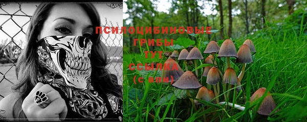 mdpv Снежинск