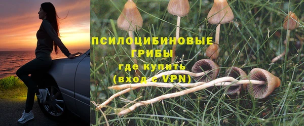 mdpv Снежинск