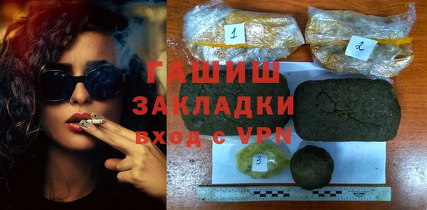 индика Слюдянка