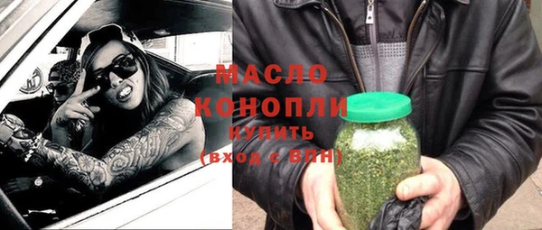 индика Слюдянка