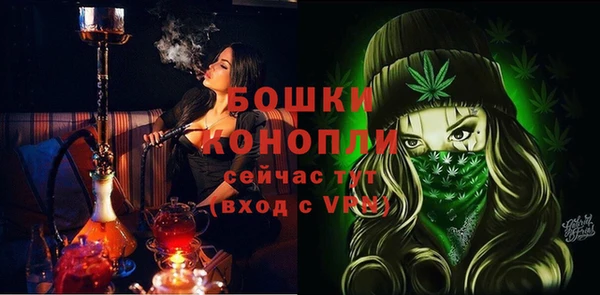 индика Слюдянка