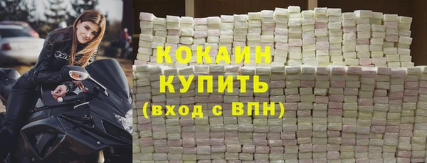 индика Слюдянка