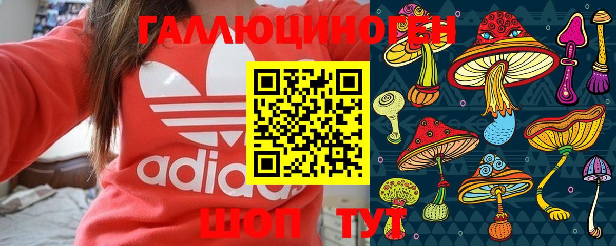Псилоцибиновые грибы MAGIC MUSHROOMS  Псилоцибиновые грибы MAGIC MUSHROOMS  Вход с VPN  Дальнереченск 
